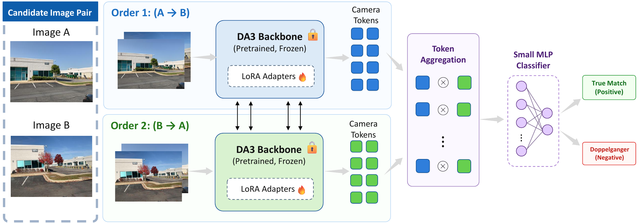 XDG architecture using a shared LoRA-adapted DA3 backbone, bidirectional camera-token fusion, and an MLP classifier